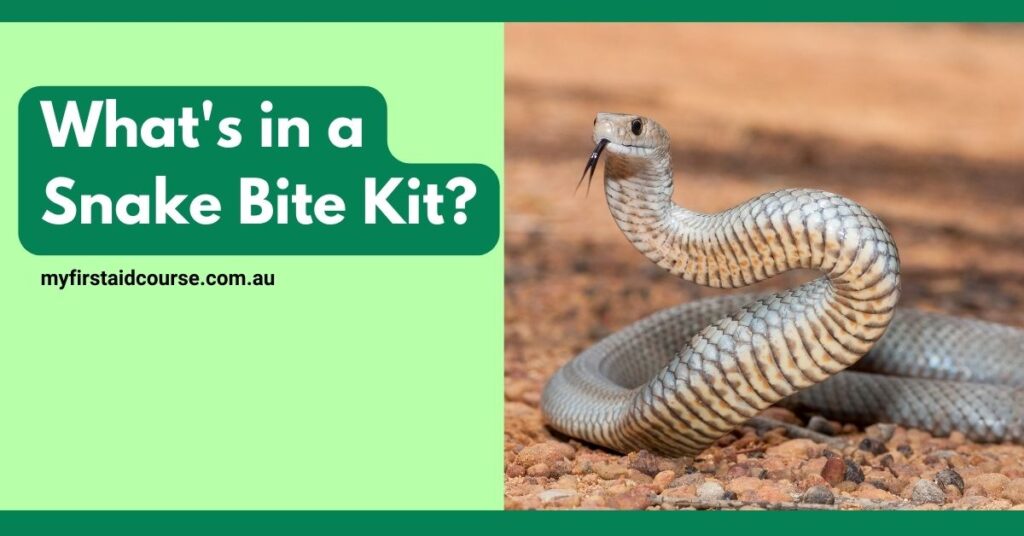 A coiled snake with a raised head and flicking tongue on a sandy ground. The background has a blurred outdoor setting. The text on the left side of the image reads: "What's in a Snake Bite Kit?" with the website "myfirstaidcourse.com.au" below. The background of the text area is a light green color.