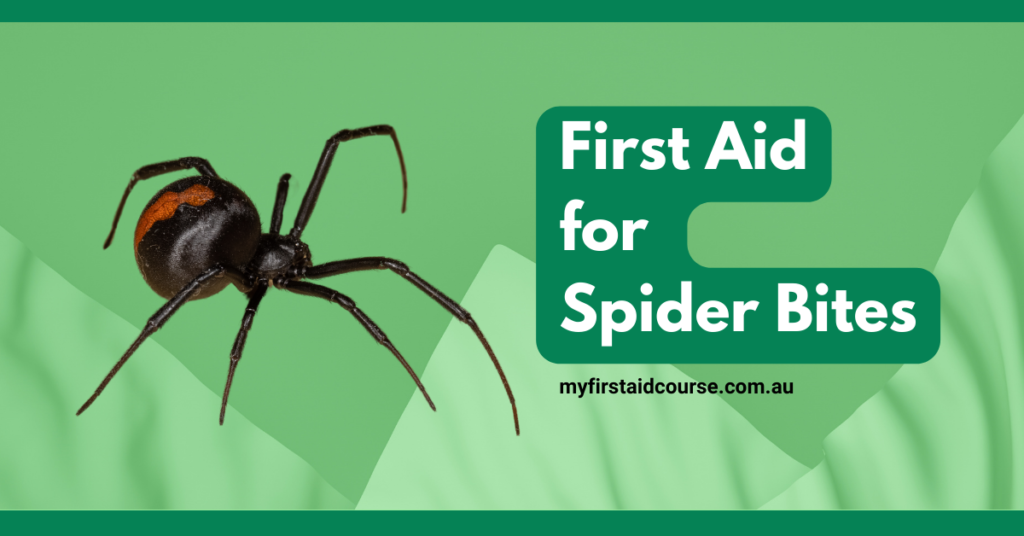 Graphic image of a black spider with an orange-red marking on its back, accompanied by the text 'First Aid for Spider Bites' and the URL 'myfirstaidcourse.com.au' on a green background.