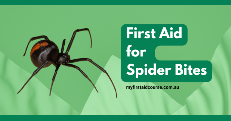 Read more about the article First Aid for Spider Bites in Brisbane: Essential Guide for Australian Spiders