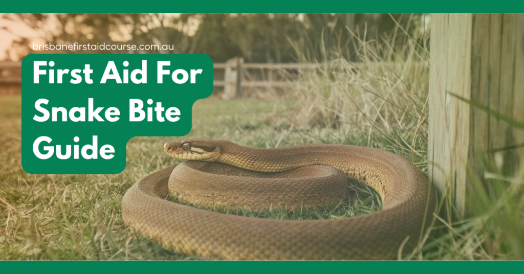 a snake rests in a brisbane yard title text first aid for snakebite guide